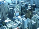 auckland (11)